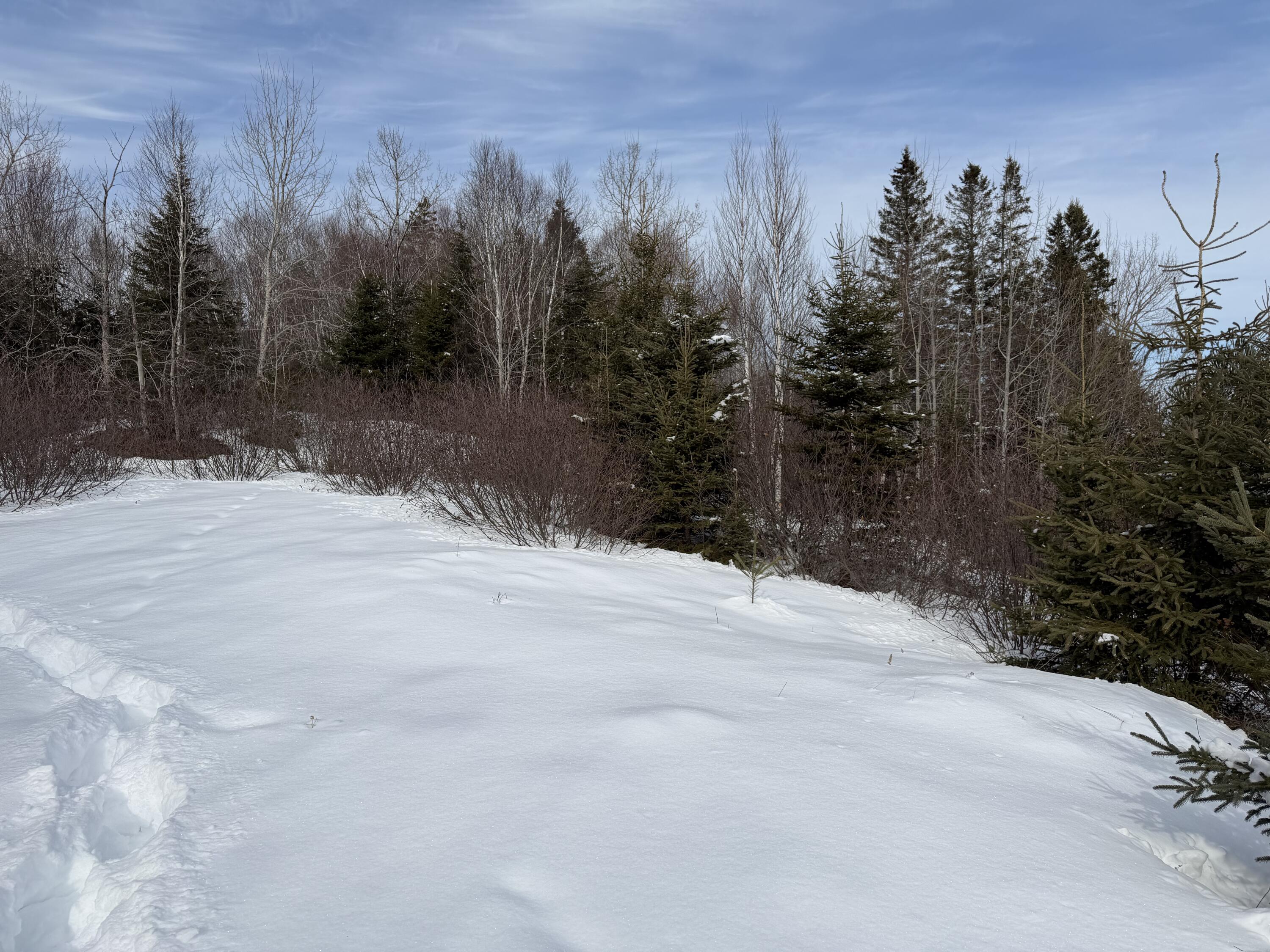 M6-l60-65 Gravel Road Robbinston, ME 04671 - Photo 9 of 18 16CC88FE-BA0E-4FA2-A545-BC09EC84363A