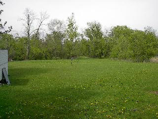 13841 North Ridge Road Milan, MI 48160 - Photo 17 of 20 464473-16.JPG