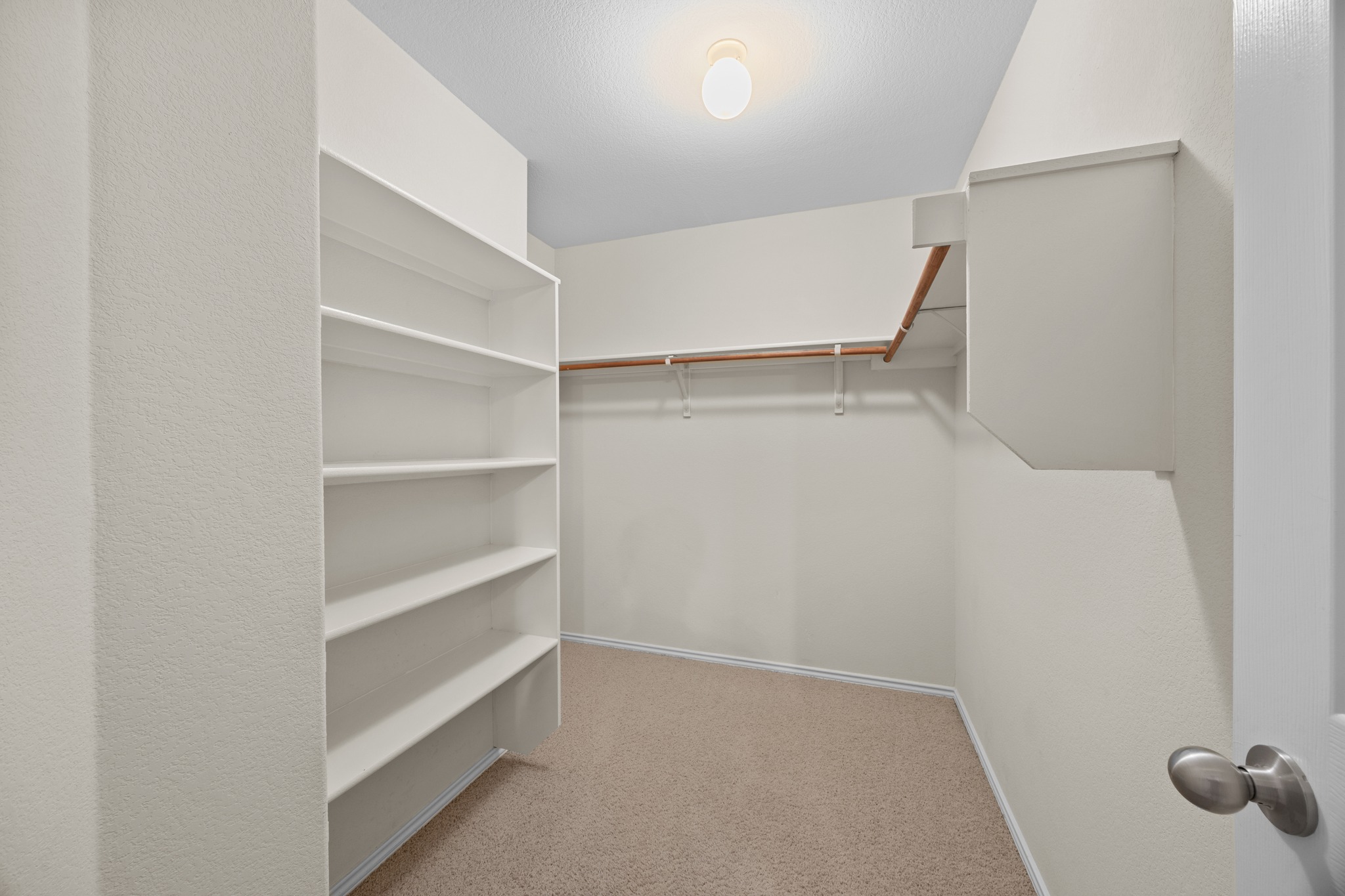 418 Nottingham Loop Kyle, TX 78640 - Photo 19 of 28 Walk-in closet featuring built-in shelving, a clothes hanging rod, neutral wall paint, a ceiling-mounted light fixture, and carpeting