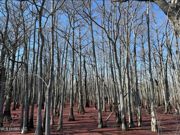 $145,000 | 526 County Road, Minter City, MS 38944