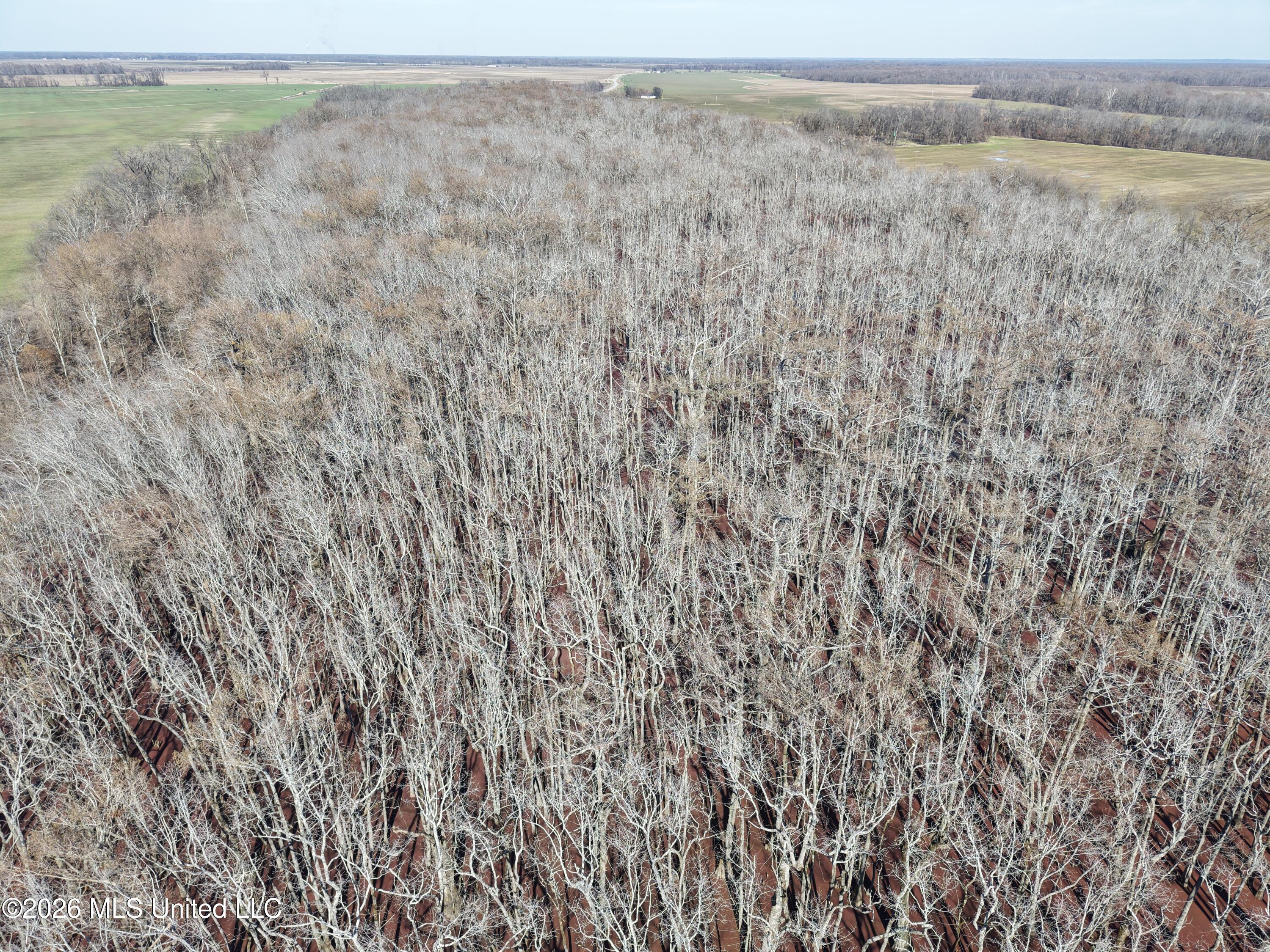 dji_fly_20260213_134736_0017_17711095193