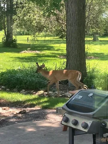 $510,000 | 4528 North County M, Evansville, WI 53536