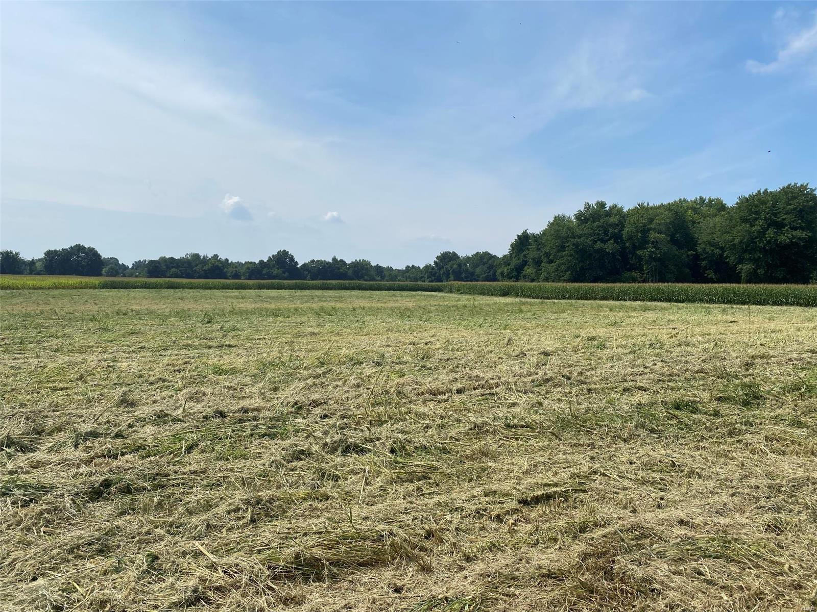 8786 Schmalz Road St. Jacob, IL 62281 - Photo 3 of 7