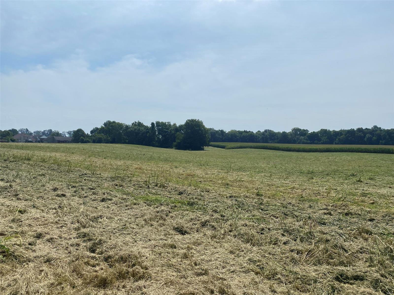 8786 Schmalz Road St. Jacob, IL 62281 - Photo 4 of 7