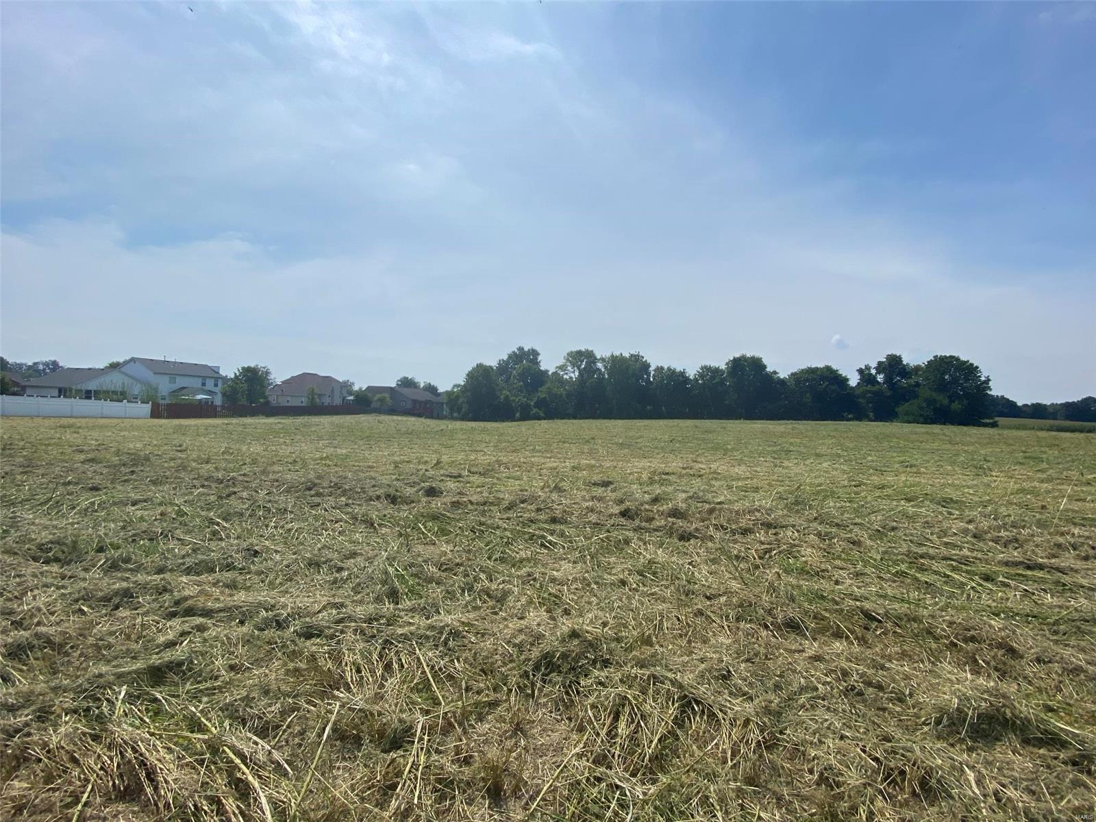 8786 Schmalz Road St. Jacob, IL 62281 - Photo 5 of 7