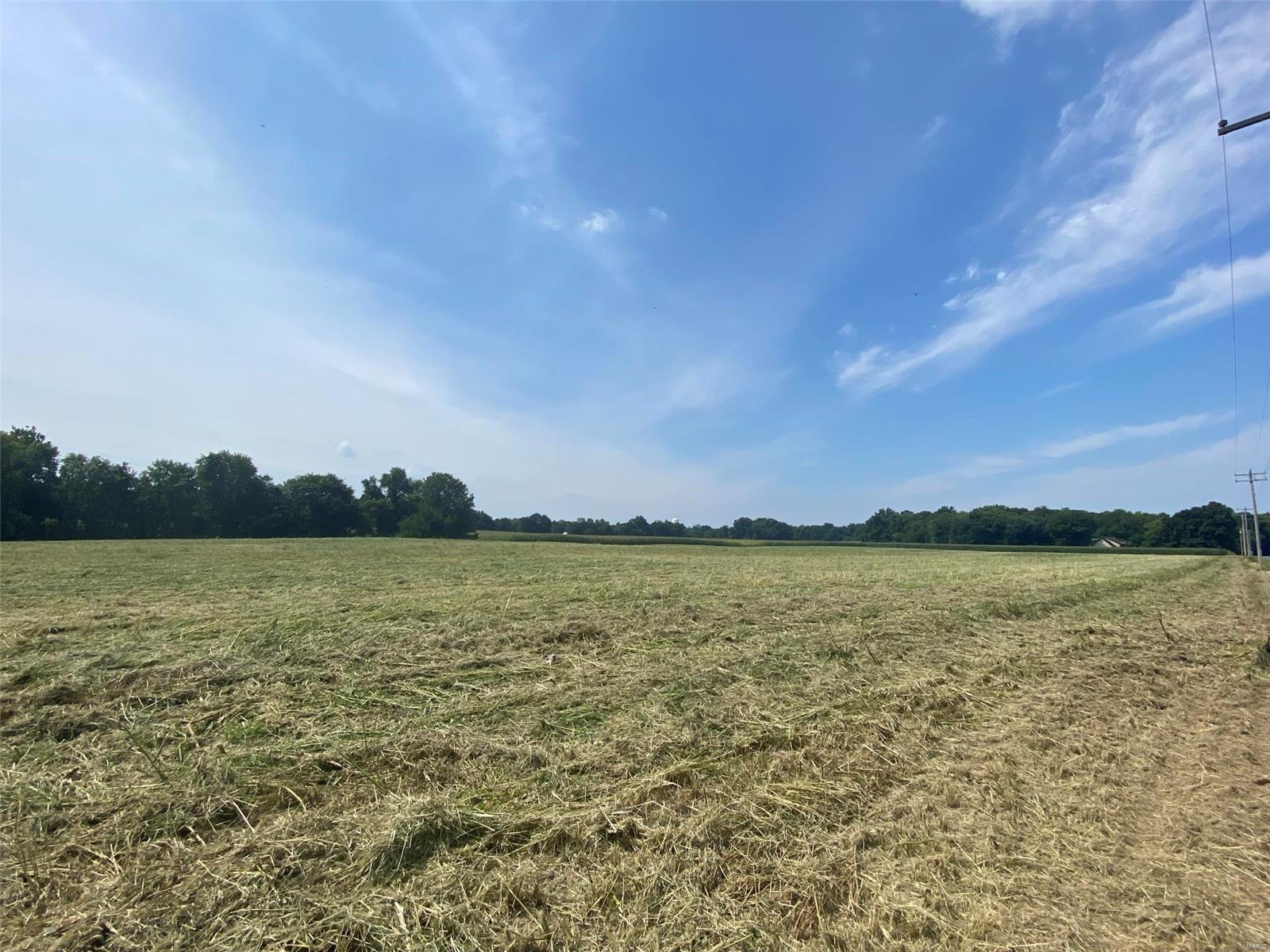 8786 Schmalz Road St. Jacob, IL 62281 - Photo 6 of 7