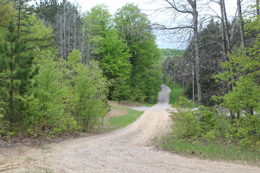 Parcel #9 Parcel Road Mio, MI 48647 - Photo 12 of 12 Gallery Image 12