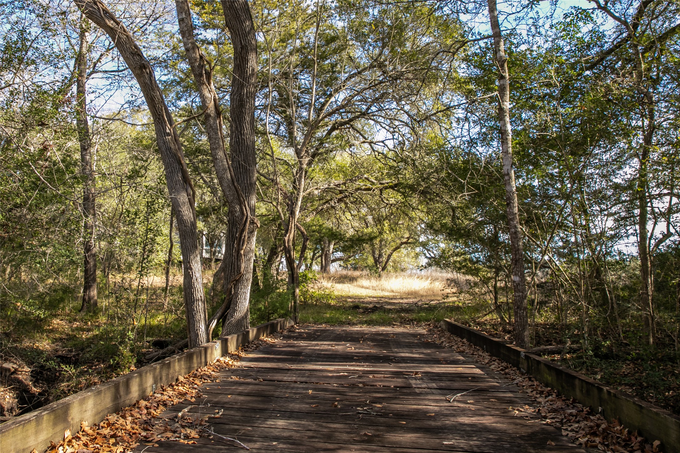 11107 Mt Falls School Road Washington, TX 77880 - Photo 2 of 26