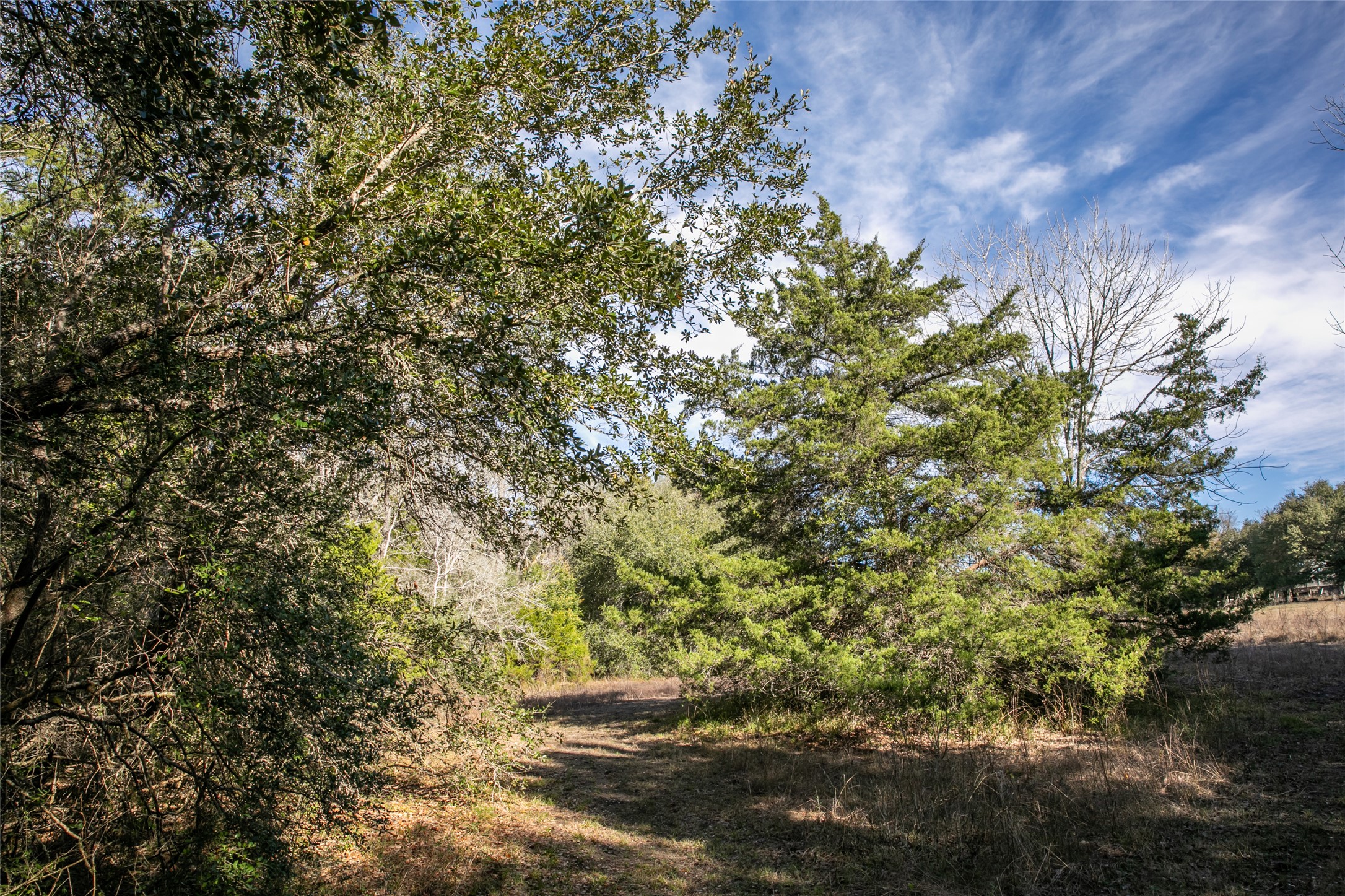 11107 Mt Falls School Road Washington, TX 77880 - Photo 22 of 26