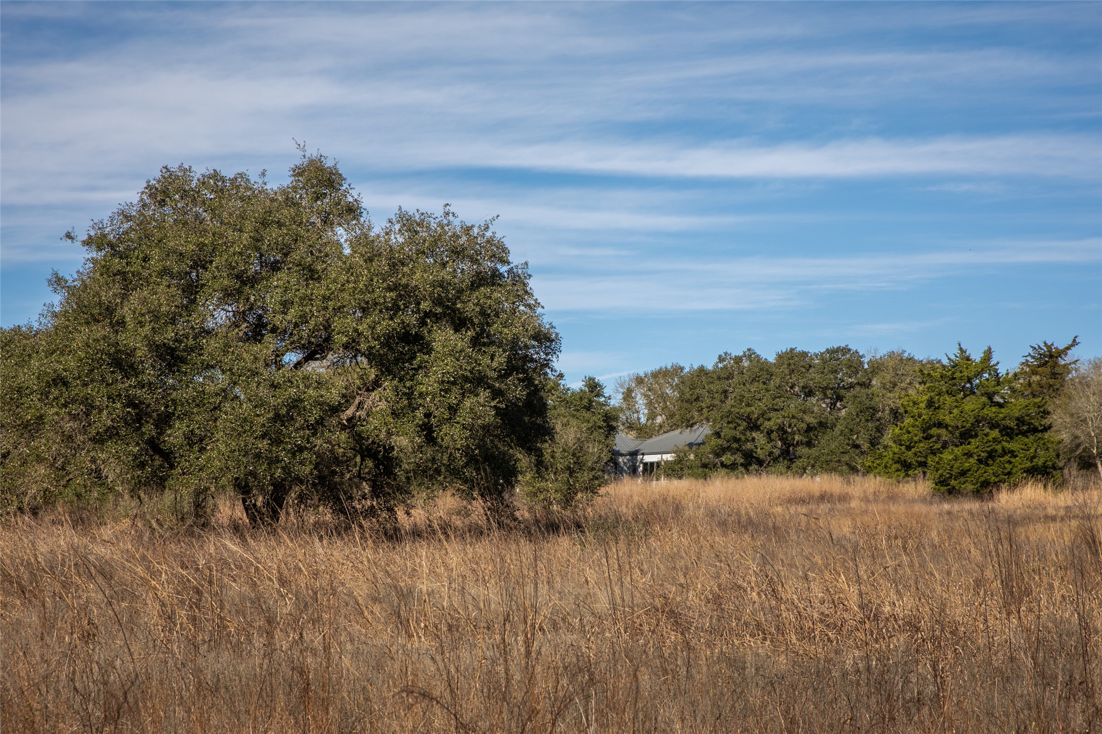 11107 Mt Falls School Road Washington, TX 77880 - Photo 5 of 26