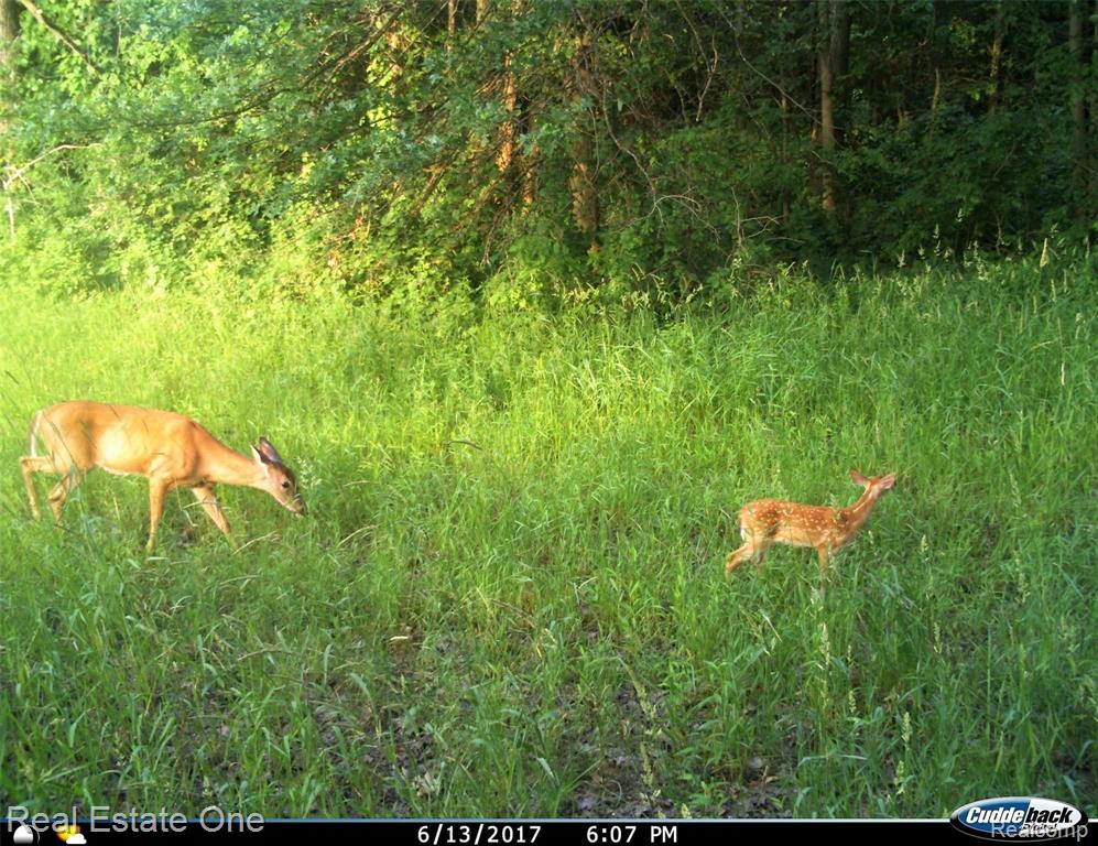 7589 Talladay Road Milan, MI 48160 - Photo 24 of 55