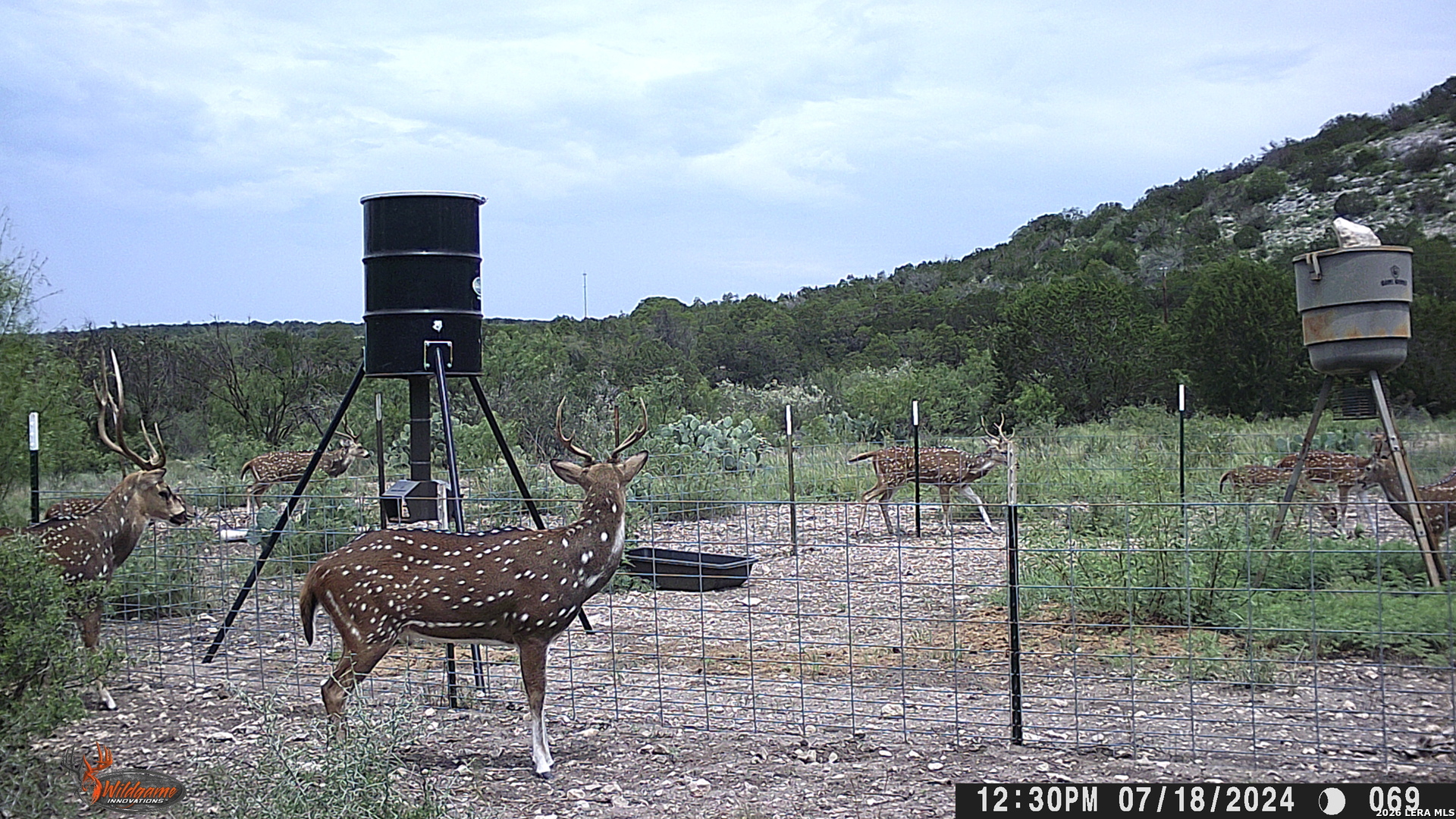 Lot 2 Dusty Rose Ranch East Rocksprings, TX 78880 - Photo 4 of 22