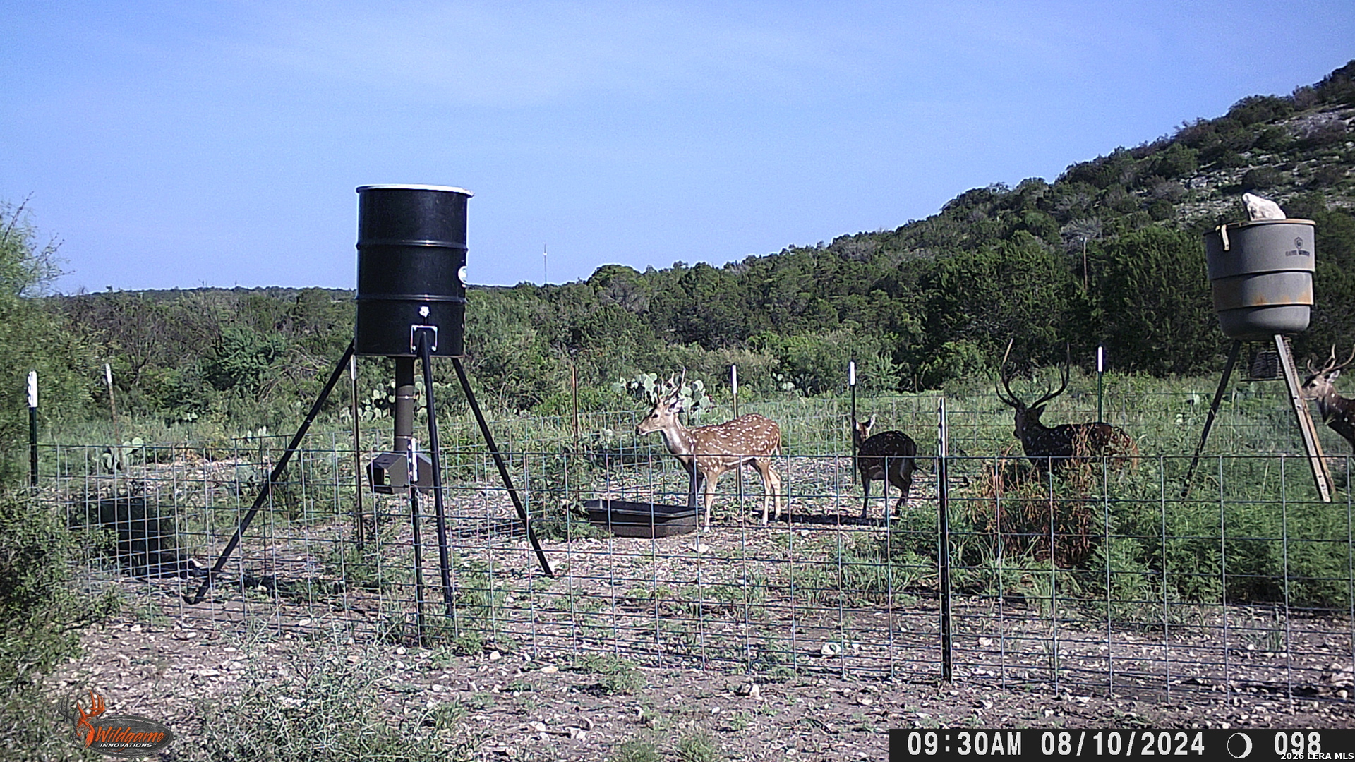 Lot 2 Dusty Rose Ranch East Rocksprings, TX 78880 - Photo 5 of 22