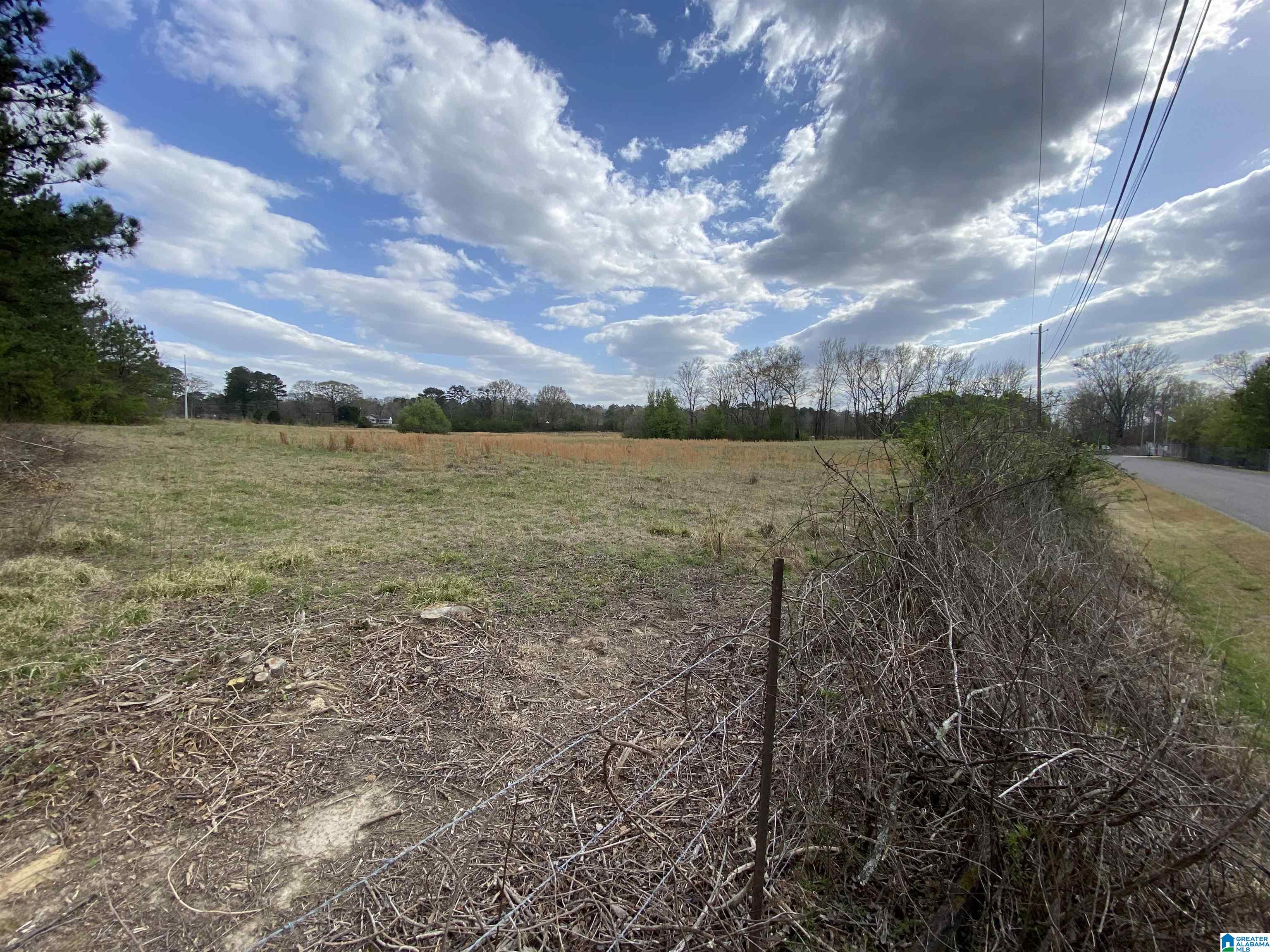 4474 Camp Coleman Road, Unit LAND Trussville, AL 35173 - Photo 4 of 4