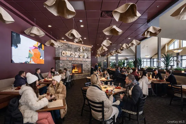 a room with lots of furniture a chandelier and a fireplace