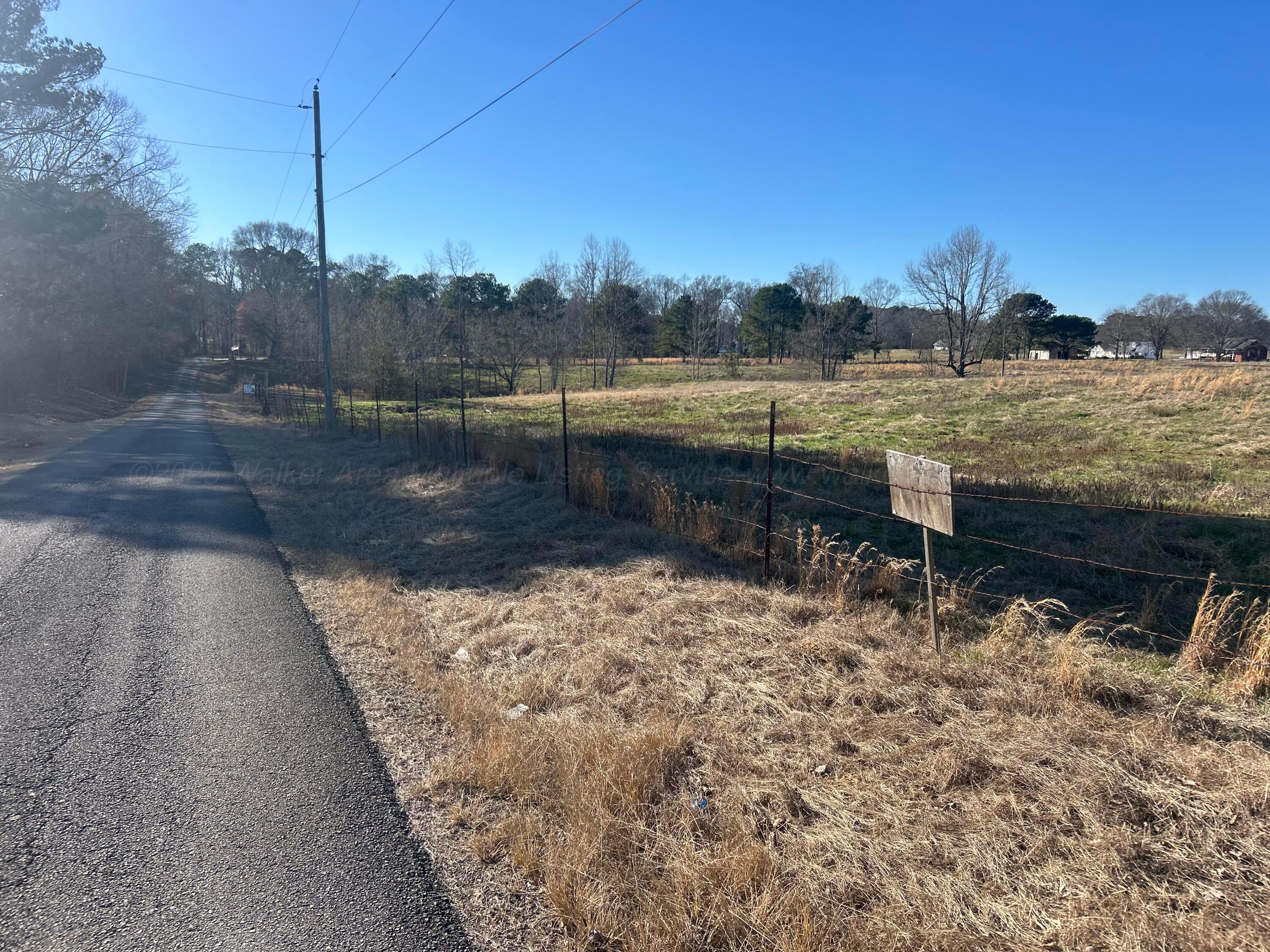 10 /- Acres On Dowdy Road Jasper, AL 35504 - Photo 2 of 5 IMG_7187