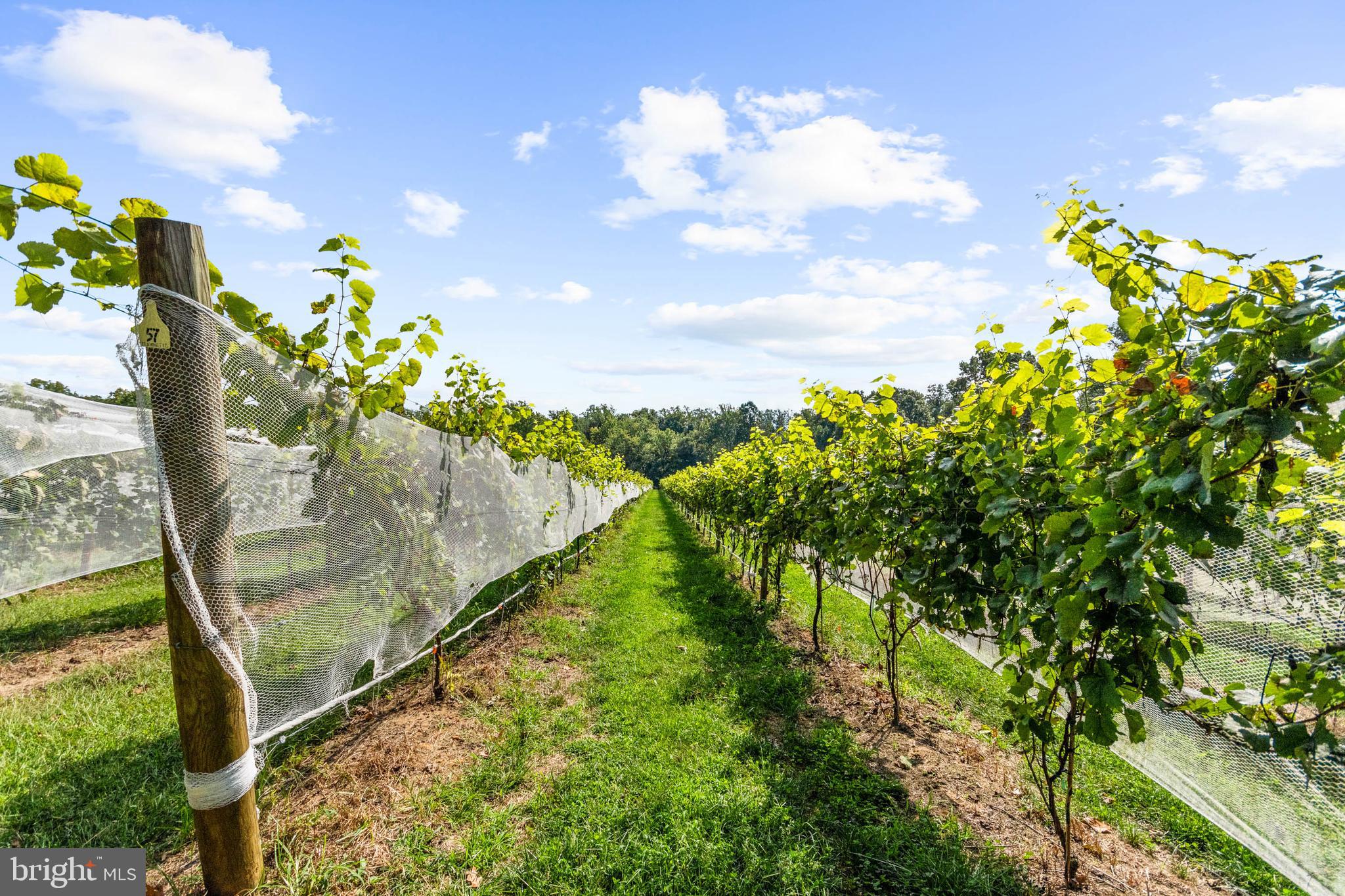 380 Heritage Road Sewell, NJ 08080 - Photo 48 of 56