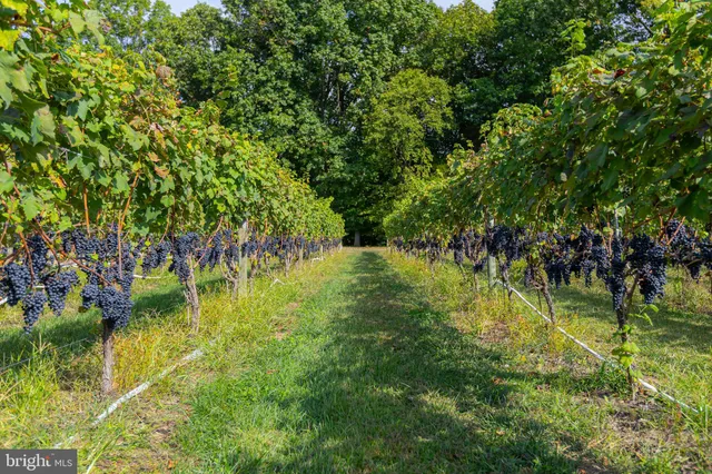 $1,299,500 | 380 Heritage Road, Sewell, NJ 08080