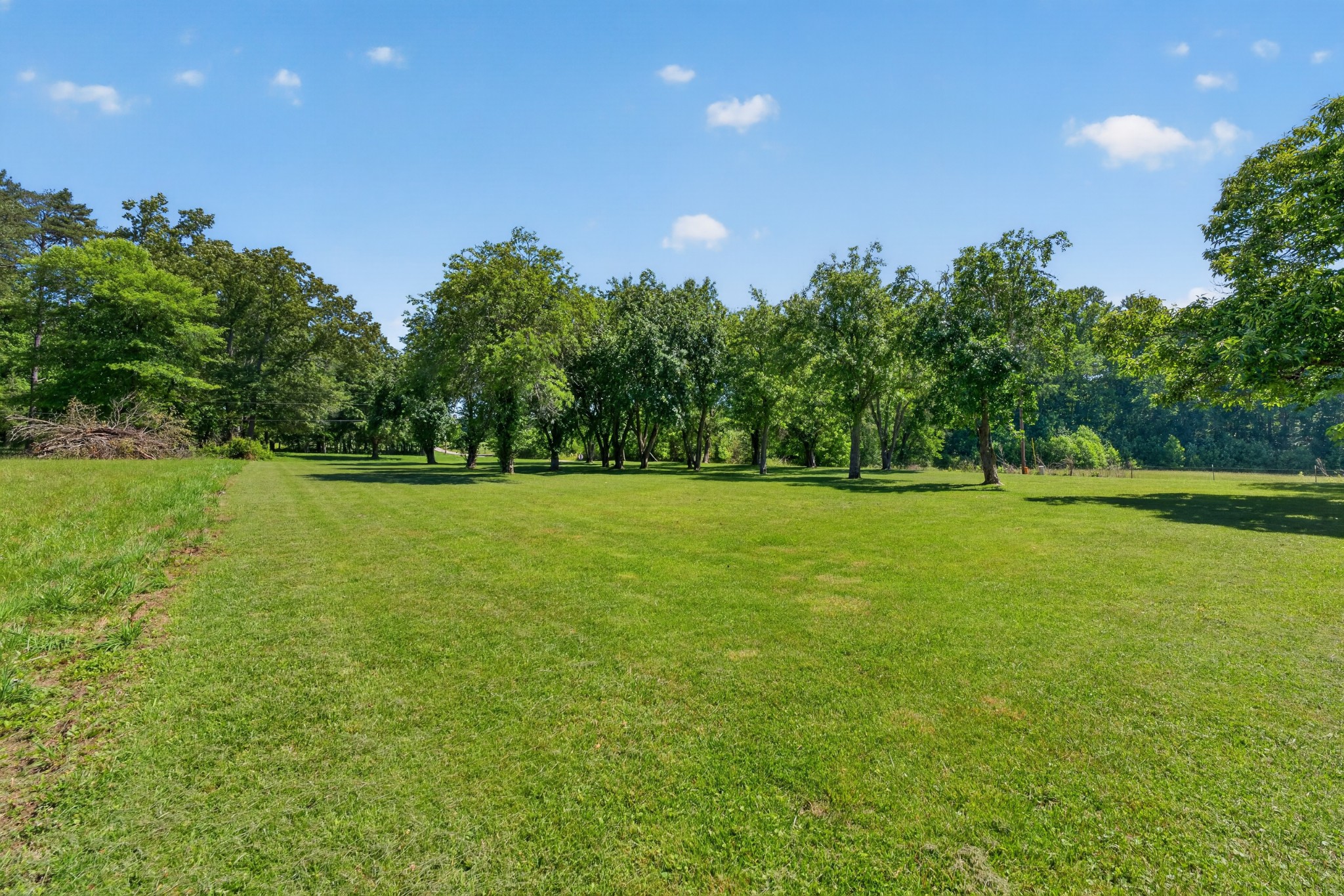 697 Bottom Road Palmer, TN 37365 - Photo 4 of 45