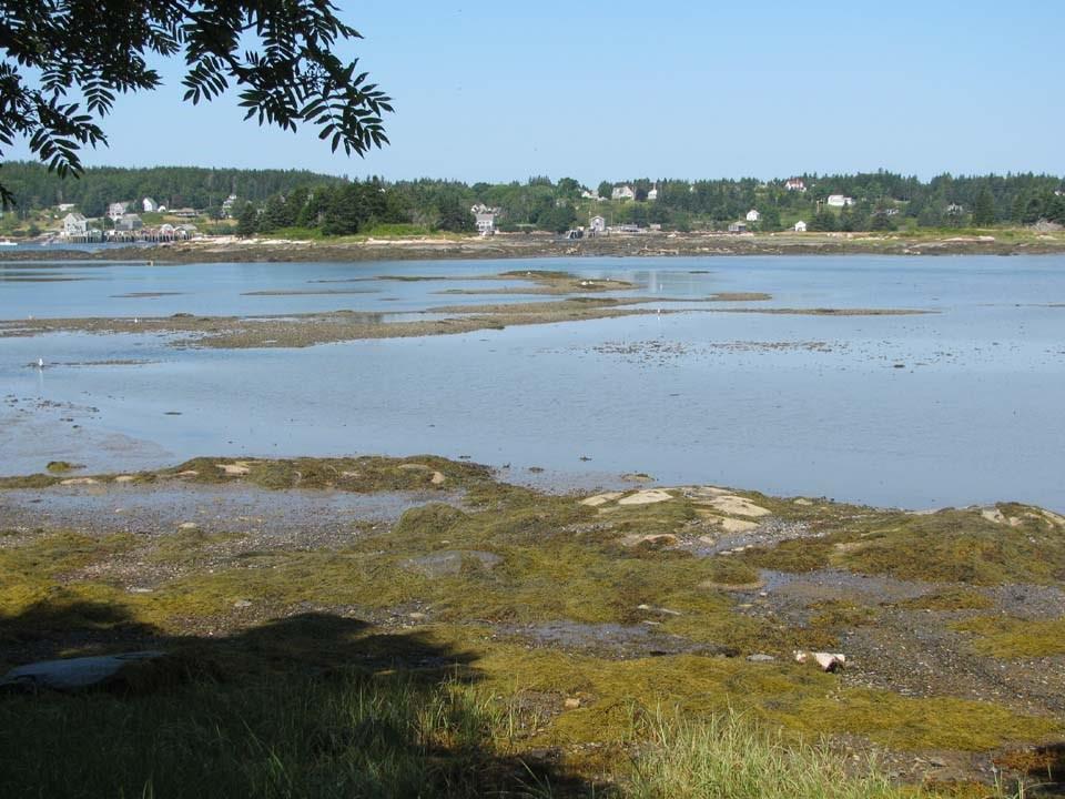347 Minturn Road Swans Island, ME 04685 - Photo 4 of 11 Photo