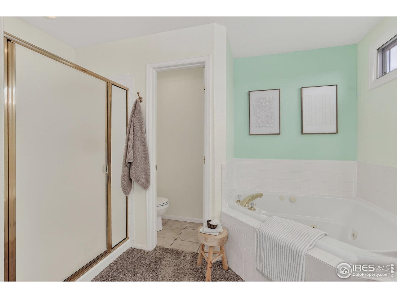 3658 Point Drive Fort Collins, CO 80524 - Photo 31 of 50 a bathroom with a bathtub and a shower