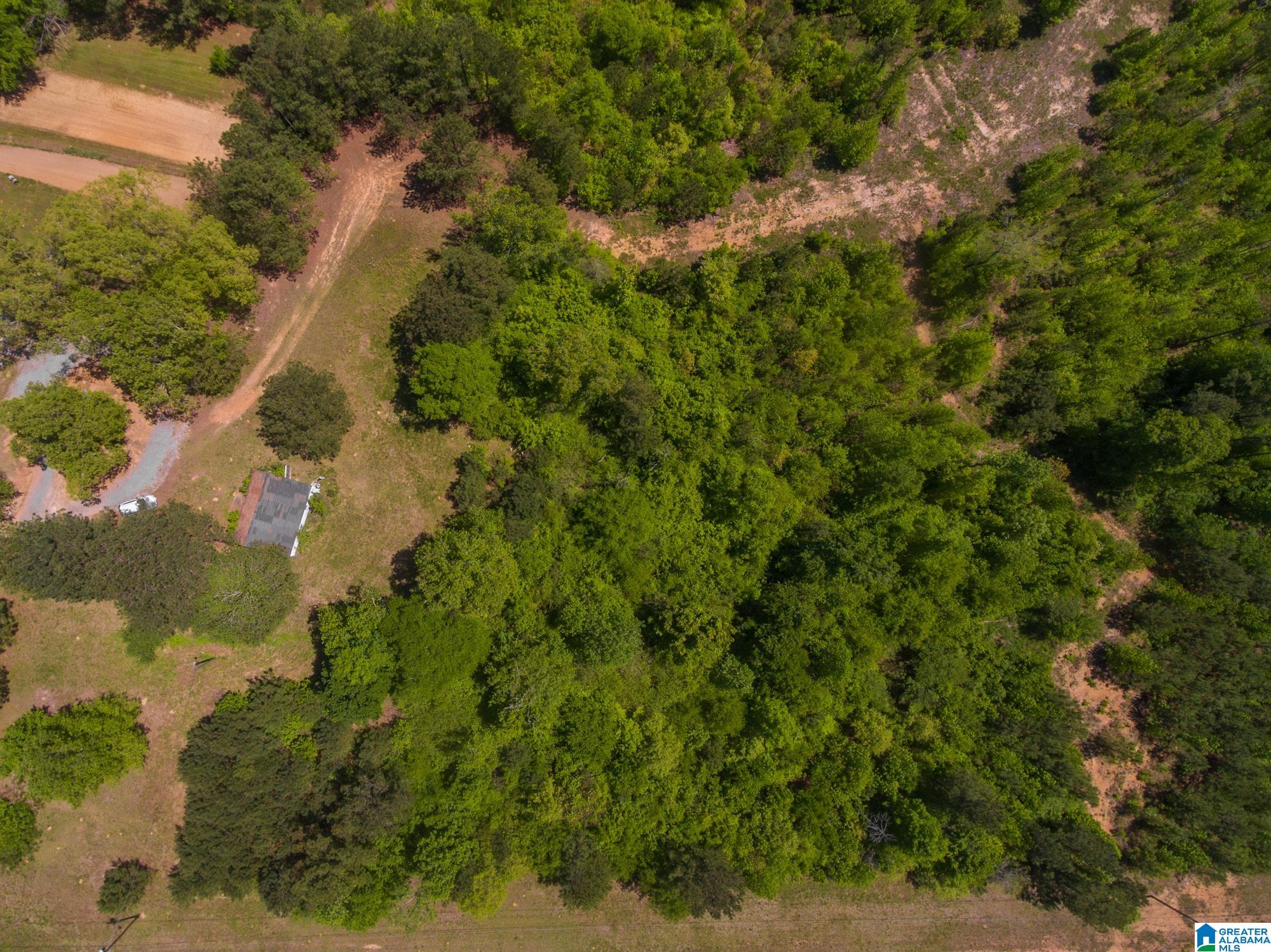 1326 Pine Ridge Road Wellington, AL 36279 - Photo 12 of 15