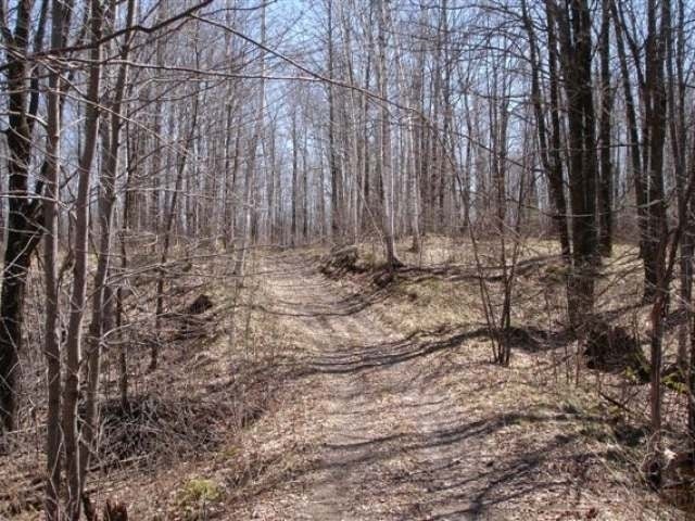 On On Clausen Road Prentice, WI 54556 - Photo 1 of 14 Gallery Image 1