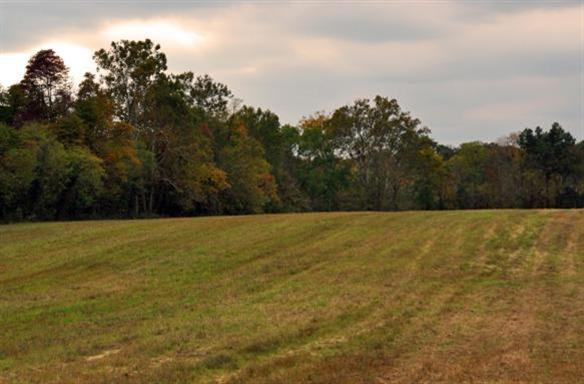 2798 Brassfield Road Richmond, KY 40475 - Photo 7 of 12 Photo 8