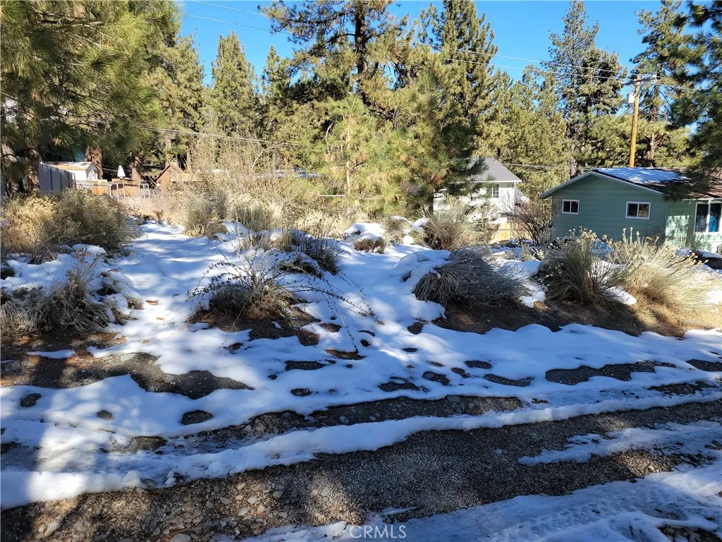 0 Blackbird Road Anaheim, CA 92807 - Photo 6 of 13 a view of a yard