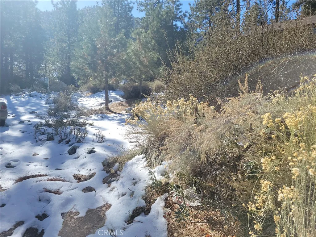 0 Blackbird Road Anaheim, CA 92807 - Photo 10 of 13 a view of a yard of the yard