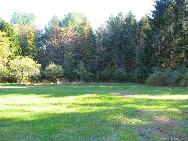 a view of a trees in a yard