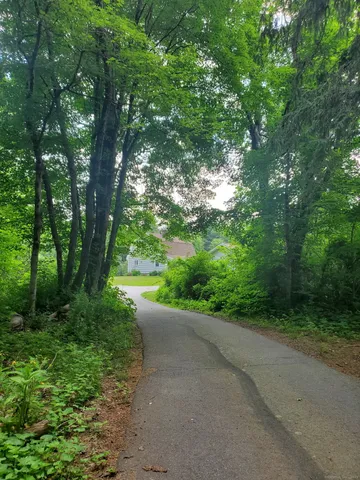a view of a road with lush green forest