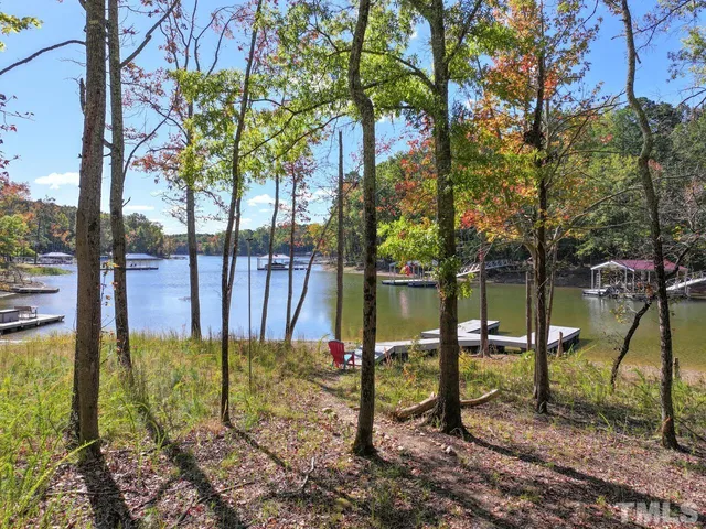 a view of a field with a tree in the background