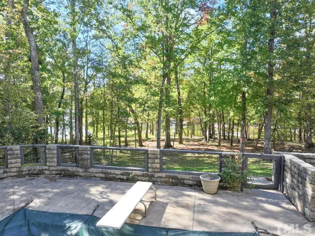 a view of a yard with plants and trees