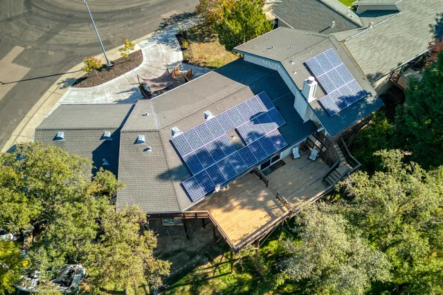 a view of a lush green forest