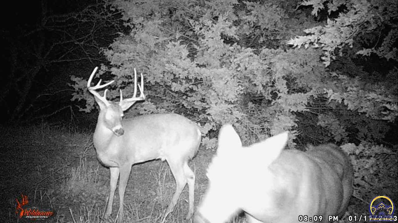 1000 E Road Cedar Point, KS 66843 - Photo 1 of 46 Gallery Image 1