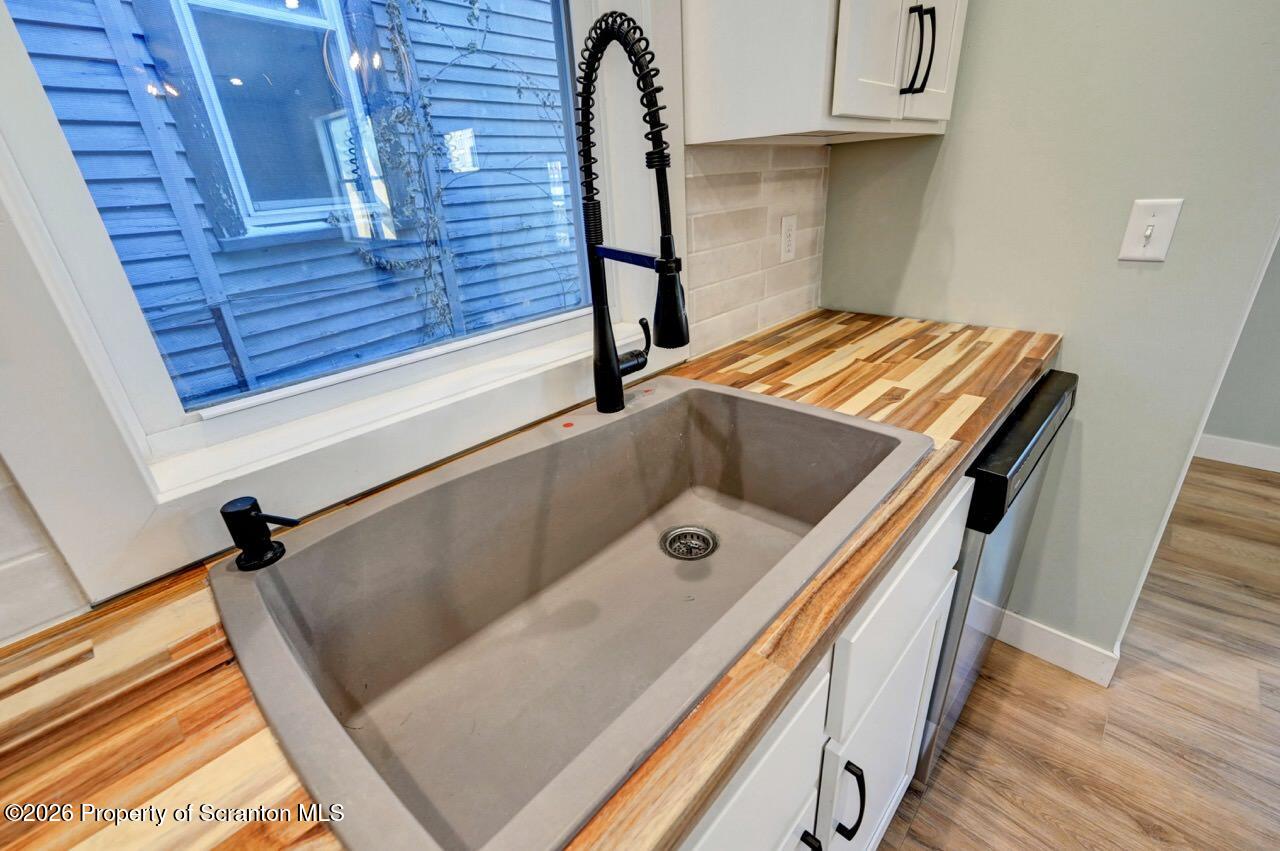119 Prospect Avenue Scranton, PA 18505 - Photo 8 of 43 a close view of sink