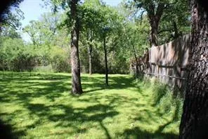 a view of a backyard with large trees