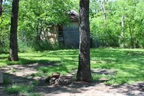 a view of a garden with a tree