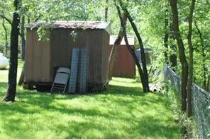 a view of backyard with a barn and a large tree