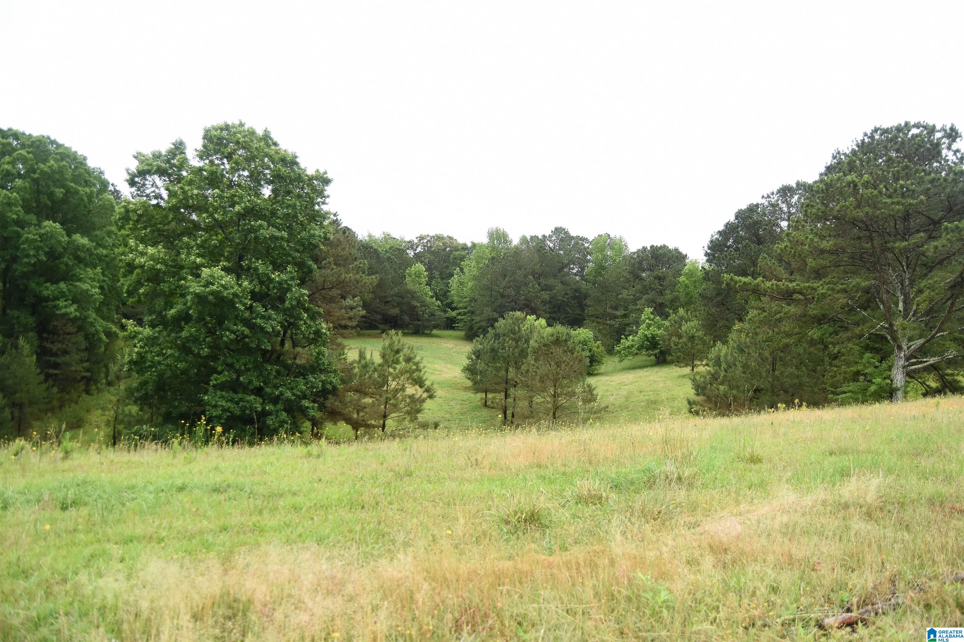 2488 Louina Road Roanoke, AL 36274 - Photo 73 of 97