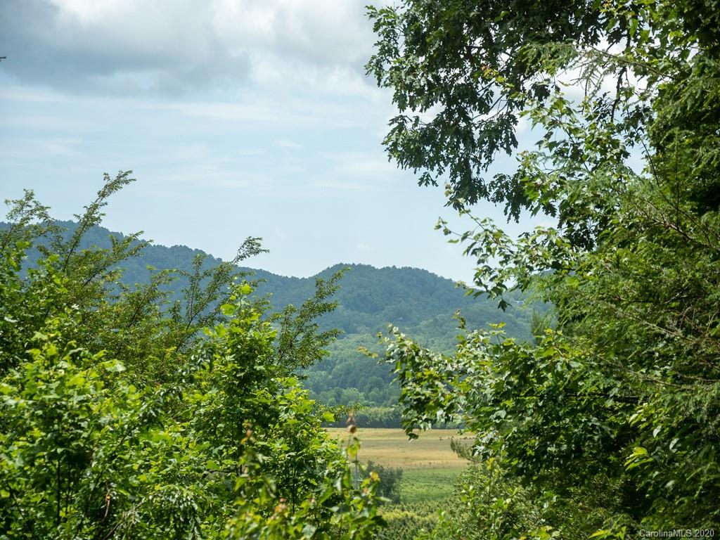 75 Riverside Estate Road Brevard, NC 28712 - Photo 19 of 20 Gallery Image 19
