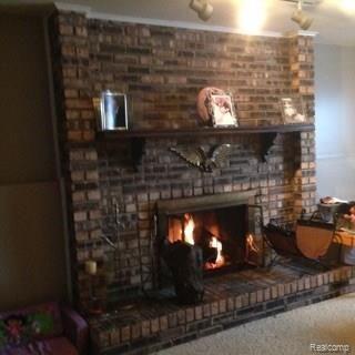 47519 Tilch Road Macomb, MI 48044 - Photo 20 of 23 2015-09-17 13.09