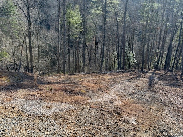 1925 McDonald Road Murphy, NC 28906 - Photo 23 of 38