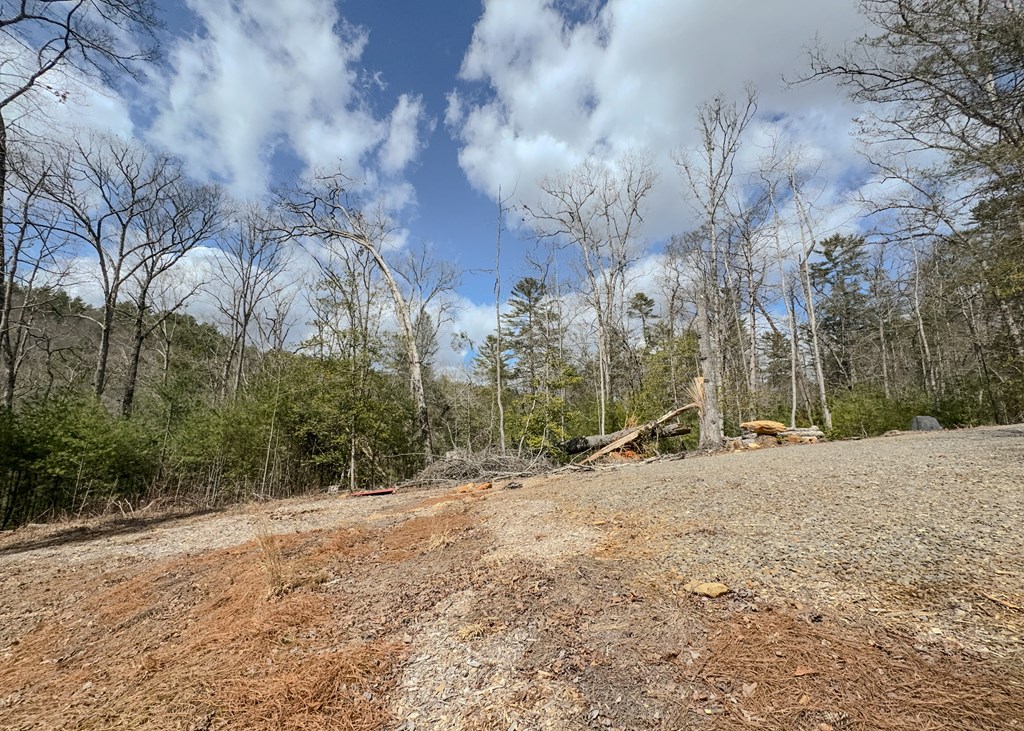 1925 McDonald Road Murphy, NC 28906 - Photo 26 of 38