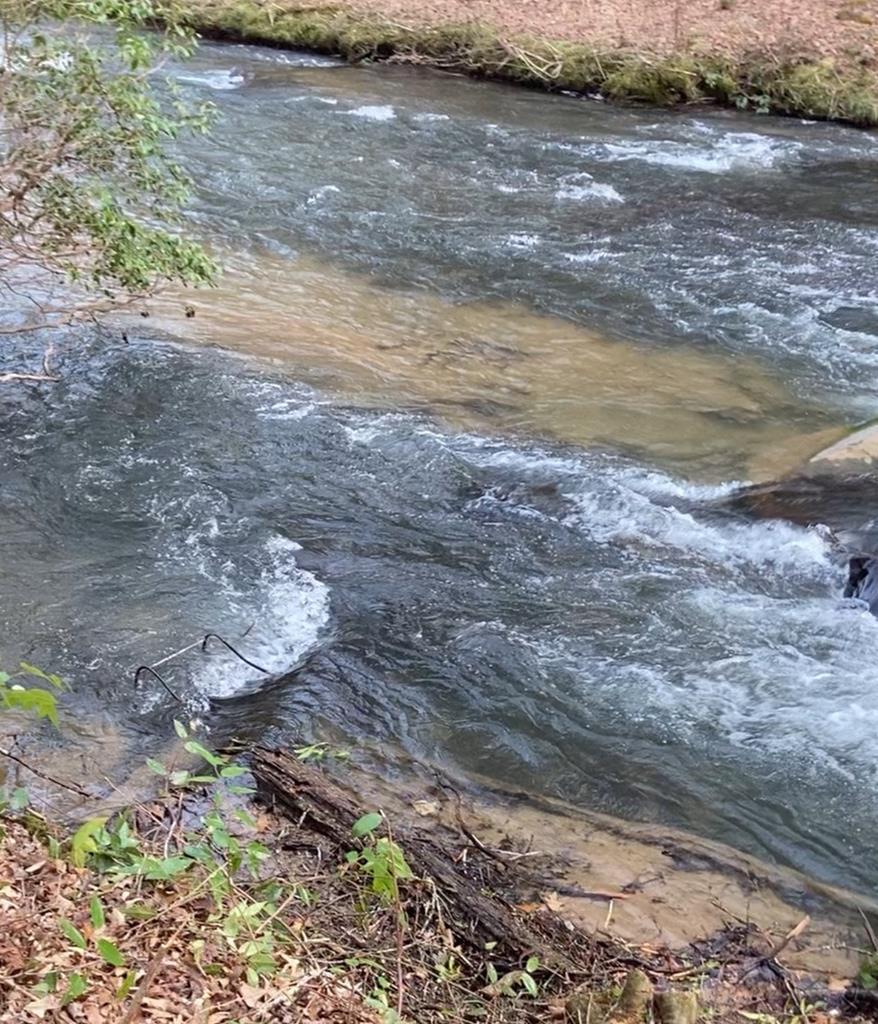 1925 McDonald Road Murphy, NC 28906 - Photo 3 of 38