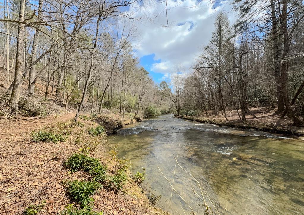 1925 McDonald Road Murphy, NC 28906 - Photo 4 of 38