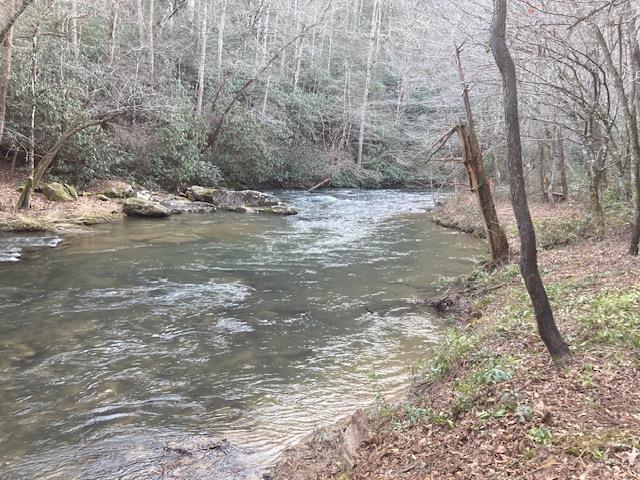 1925 McDonald Road Murphy, NC 28906 - Photo 7 of 38