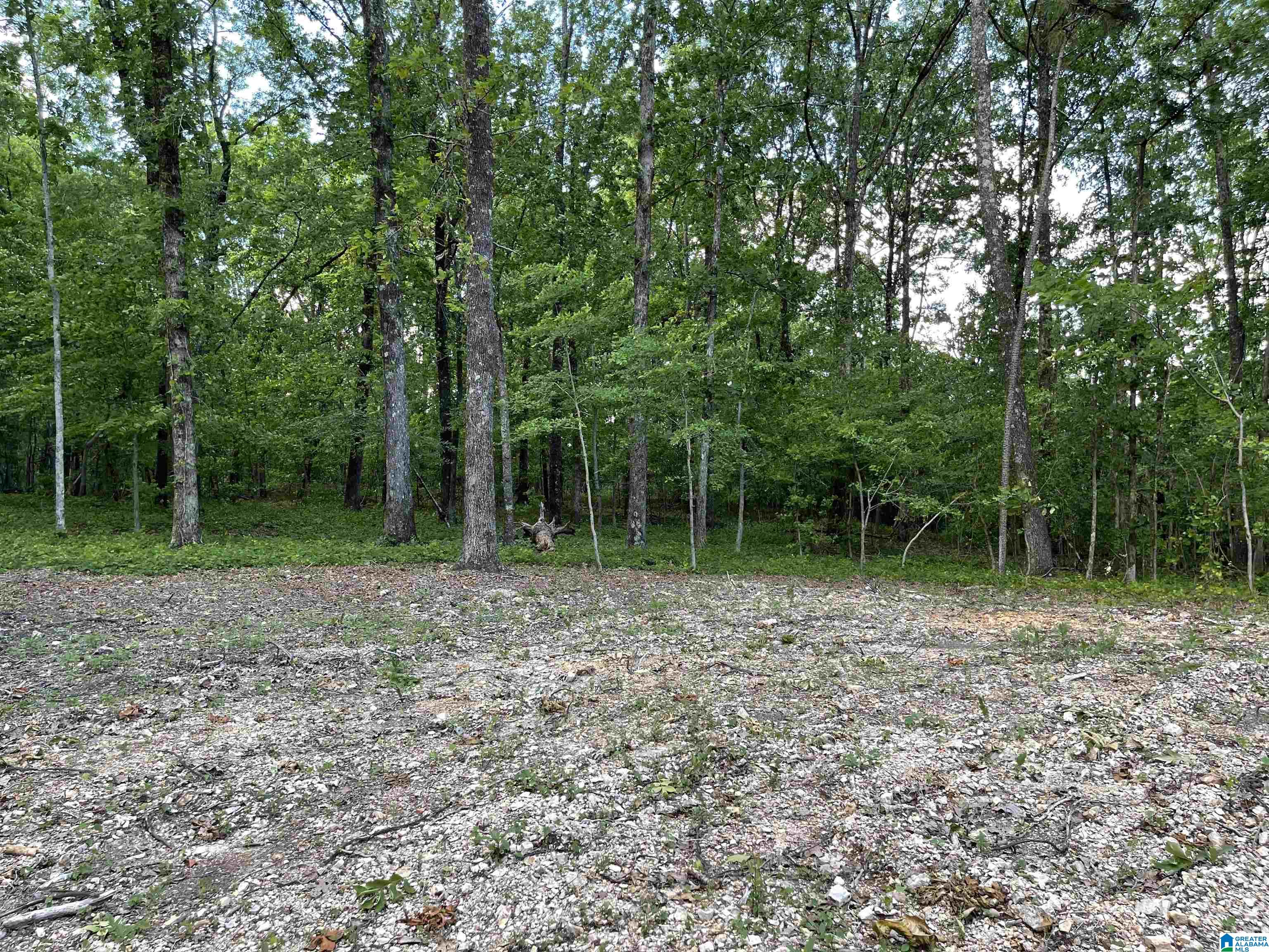 84 Rustic Drive, Unit 2 Harpersville, AL 35078 - Photo 6 of 23