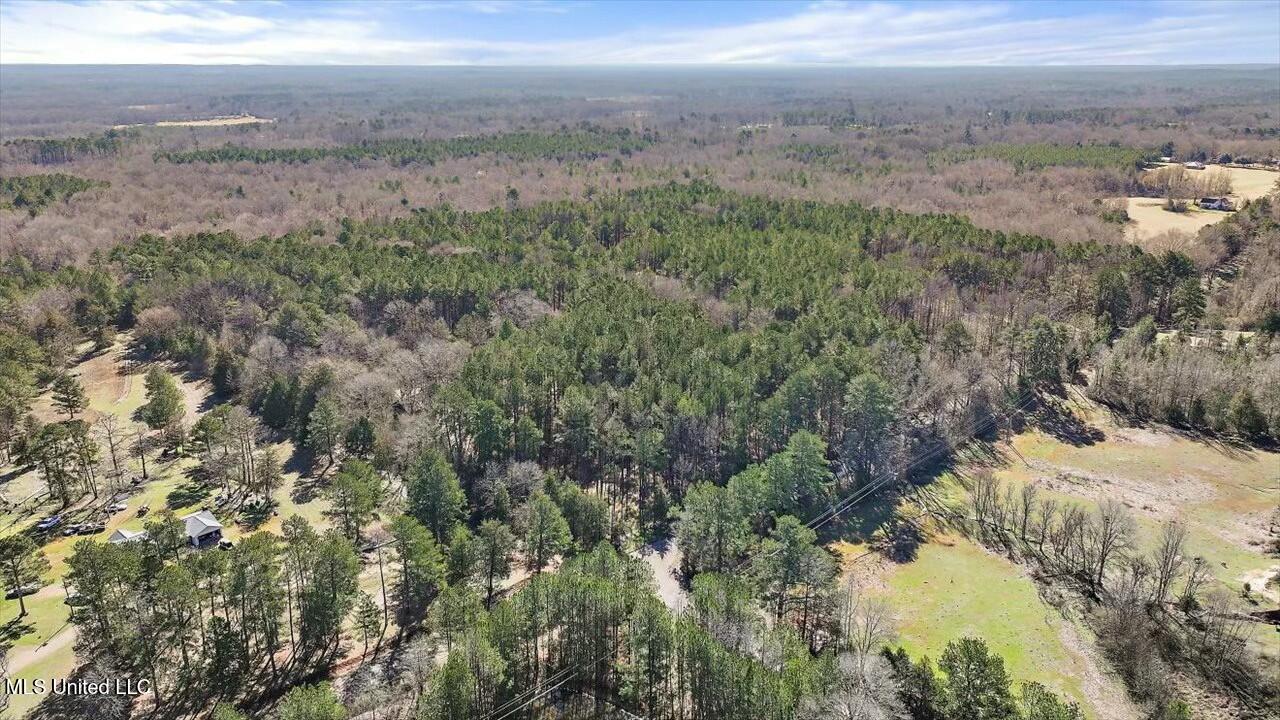 1168 Terry-Gatesville Road Crystal Springs, MS 39059 - Photo 54 of 63 tempImageyyHhou